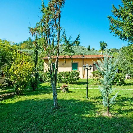 Apartment Il Gelsomino By Interhome La Collina Exterior photo